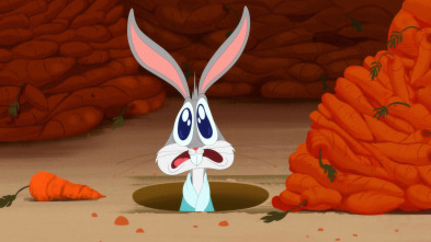 Imagen de Looney Tunes... (T2): El conejo rechoncho / Cine de lavado - 2