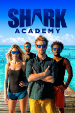 Imagen de Shark Academy (T1) - 1
