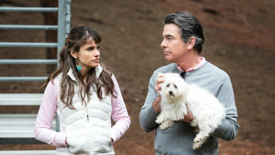 Togetherness (T1): Ep.5 Patea la lata