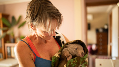 Dodo Heroes: Una casa llena de wombats