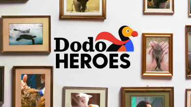 Dodo Heroes 