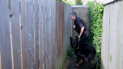 Perros detectives (T1): Grandes blandengues