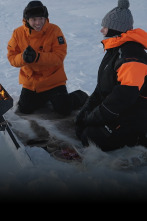 Chef sin desperdicio (T2): Finlandia