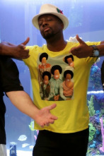 Acuarios XXL (T7): El acuario de Wyclef está listo, ¿o no?