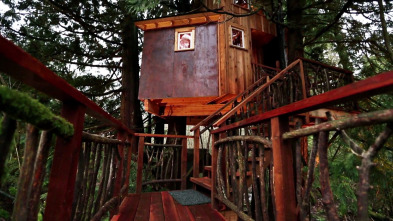 Mi casa en un árbol,...: El estudio de grabación más alto