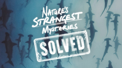 Misterios de la naturaleza 