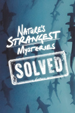 Misterios de la naturaleza 
