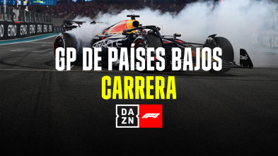 Imagen de GP de Países Bajos...: GP de Países Bajos: Carrera - 2