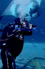 The Aquarium (T2): La gran aventura de Bacon y Tomate