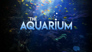 The Aquarium (T2)