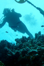 Imagen de El tesoro de Cooper (T1): El mapa del tesoro del espacio - 1