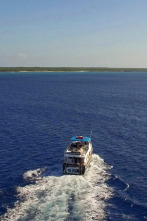 Imagen de El tesoro de Cooper (T1): Aguas peligrosas - 1