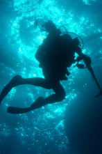 Imagen de El tesoro de Cooper (T1): El tesoro de Colón - 1