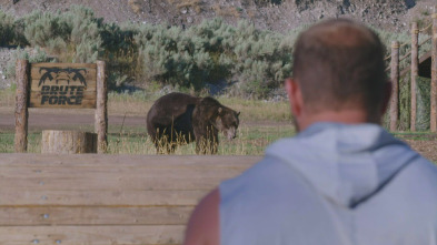 Imagen de Man Vs Bear (T1): Enfrentamiento final sobrehumano - 2