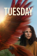 (LSE) - Tuesday