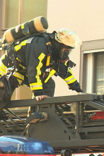 Bomberos en acción (T1): Ep.10
