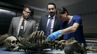 Imagen de Asesinatos en...: Un misterio en The Pines - 2