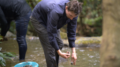 Imagen de La ruta del oro...: Trato de 1000 millones de dólares - 2
