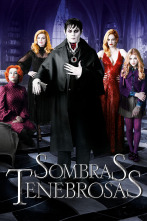 Imagen de Sombras tenebrosas - 1