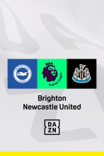 Jornada 35: Brighton & Hove Albion - Newcastle