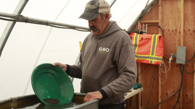 Imagen de Los Hoffman: oro... (T2): La clutch de los Hoffman - 2