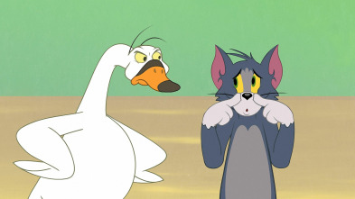 Imagen de Tom y Jerry en... (T2): Por tu salud / Trifulca de golf / El canto de cisne de Tom / Rey Spike, el primero y el último - 2
