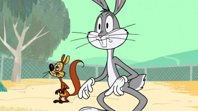 Imagen de New Looney Tunes,... (T1): El mejor amigo del conejo / Un incordio de ex novio - 2