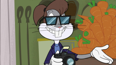 New Looney Tunes (T1): La zanahoria delante del caballo / Emboscados