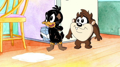 Baby Looney Tunes (T1): Limpio y sucio
