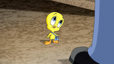 Baby Looney Tunes (T2): Encontrando pistas como las de Piolín
