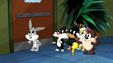 Imagen de Baby Looney Tunes (T2): Luz, camara, Piolín - 2