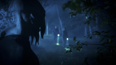 Este bosque está... (T3): Lo veo aterrizar