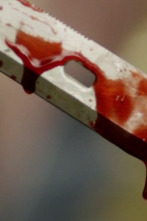 Perfil de un...: Asesinos fantasiosos