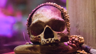 Buscadores de... (T19): Ripley's Believe It or Not