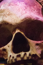 Buscadores de... (T19): Ripley's Believe It or Not