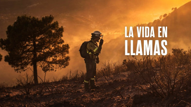 La vida en llamas 