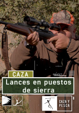 Imagen de Lances en puestos de sierra - 1