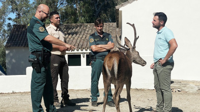 Seprona en acción, Season 2: Ep.12