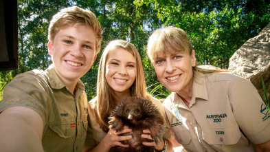 Imagen de The Irwins (T1): La primera cita de la tortuga - 2