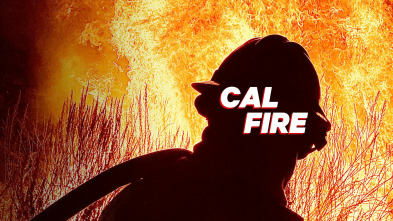 Bomberos de California 