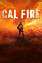 Bomberos de California 