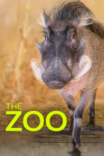 El zoo del Bronx (T5)