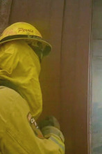 Bomberos de...: Hermandad del fuego