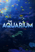The Aquarium (T1)
