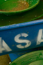 La pesca del oro:... (T3): Tesoro hundido