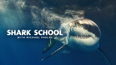 Imagen de Escuela de tiburones con Michael Phelps - 2