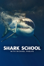Imagen de Escuela de tiburones con Michael Phelps - 1
