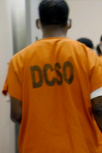 Imagen de El sistema penal de...: Presuntos culpables - 1