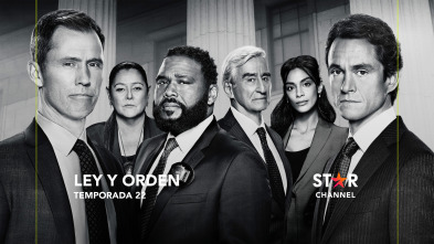 Imagen de Ley y orden (T22) - 2