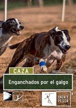 Imagen de Enganchados por el galgo - 1